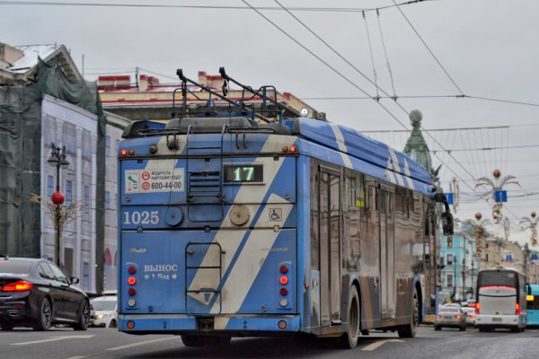 Где взять ссылку на кракен