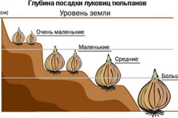 Кракен zerkalo pw