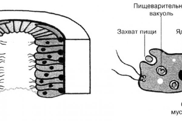 Kraken вход зеркало