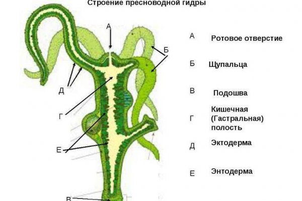 Ссылка на кракен тор kraken014 com